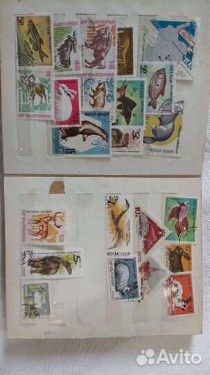 Почтовые марки