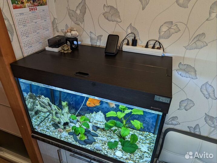 Аквариум