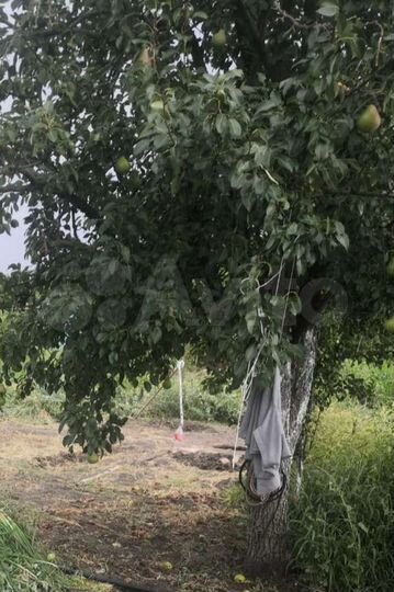 Дача 20 м² на участке 7 сот.