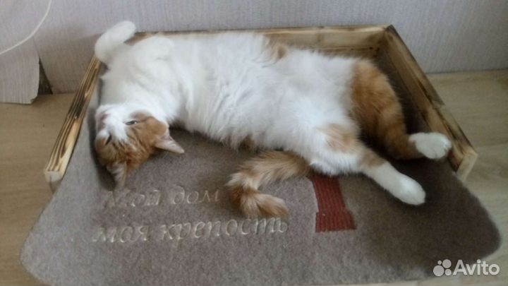 Лежанка для кошки
