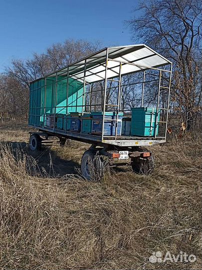Продается пасека с телегой