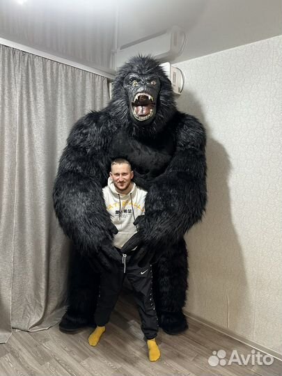 Костюм гориллы аэро костюм кинконга