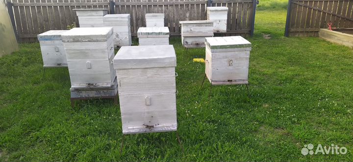 Пчелиные ульи 12-ти,16-ти и 20 рамочные