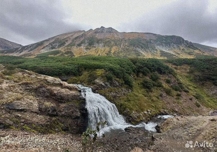 Камчатка летом тур путевка программы 7-9 дней