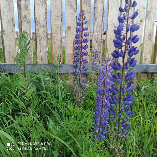 Дом 90 м² на участке 10 сот.