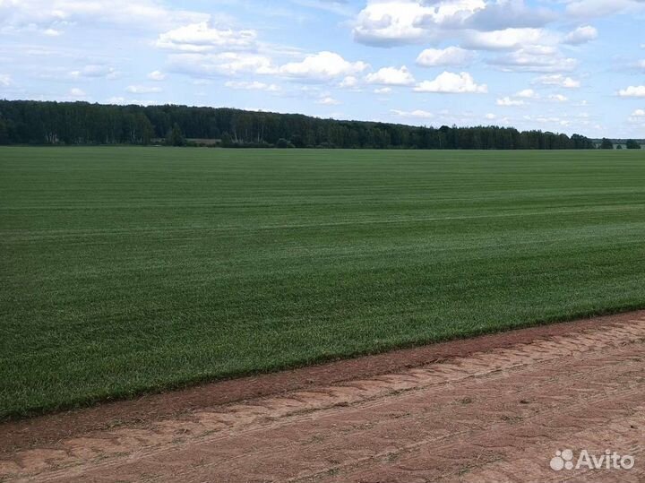 Озеленение и благоустройство