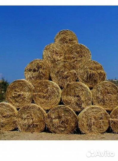 Сено в больших и маленьких тюках, солома ячменная