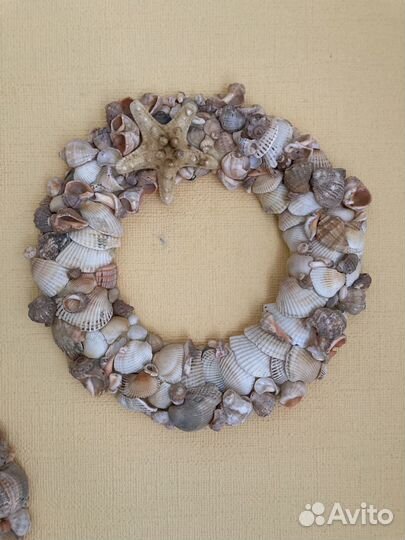 Морские ракушки раковины