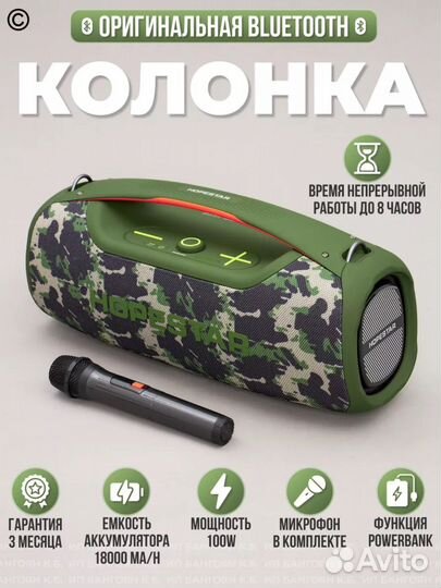 Колонка музыкальная Hopestar A60 100w с микрофоном