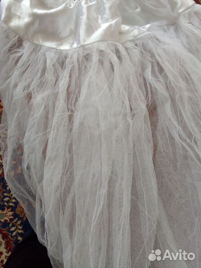 Подъюбник пышный