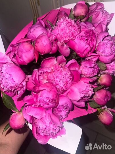 Пионы 24/7 Букеты Доставка