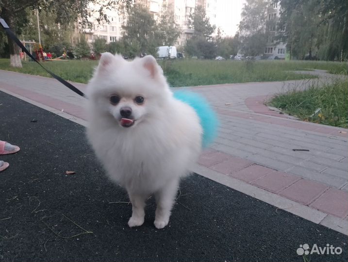 Ищет подругу