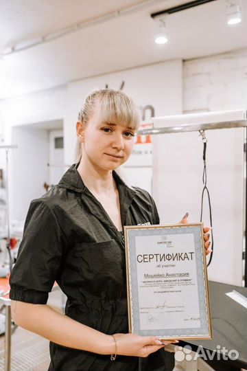 Груминг обучение