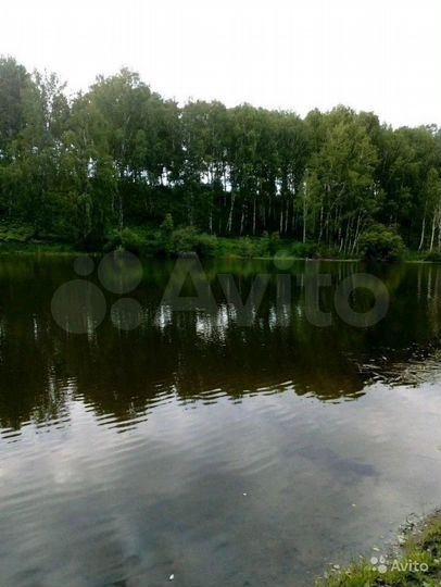 Участок 8 сот. (СНТ, ДНП)