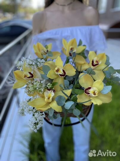 Корзина с орхидеями, орхидеи