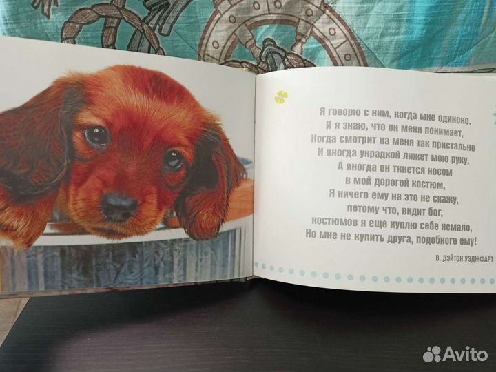 Детская книга, щенячья любовь