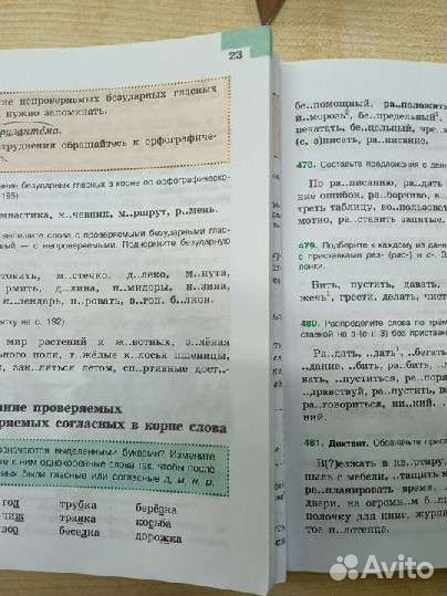 Русский язык 5 класс