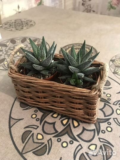 Прямоугольная корзина маленькая