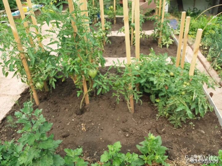 Опоры / колышки для сада и огорода / Курск