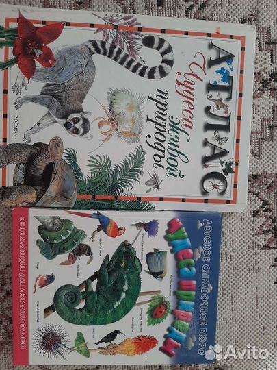 Энциклопедия для детей