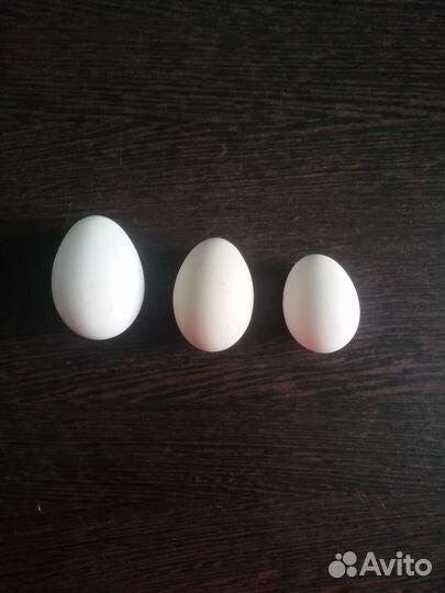 Продаются домашние куриные яйца
