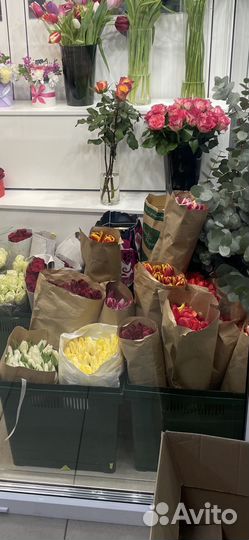 Желтые тюльпаны