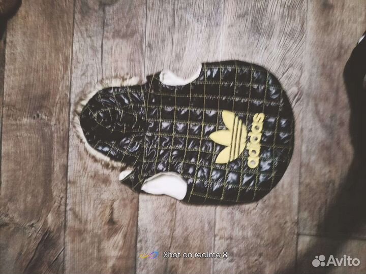 Одежда для собак