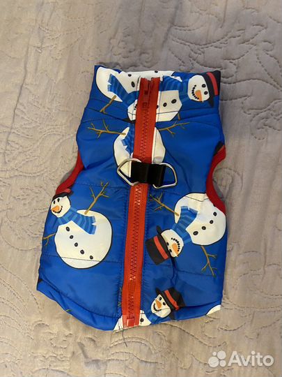 Одежда для собак