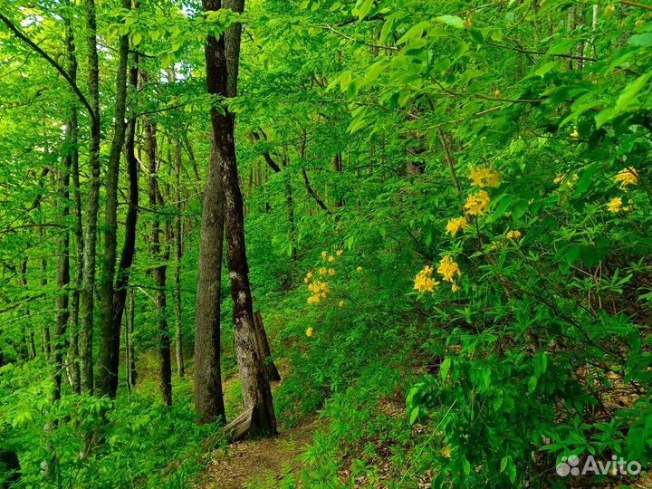 Треккинг к водопаду Кейву