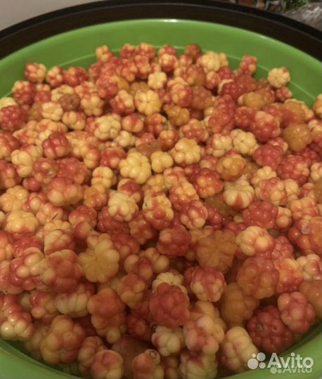 Морошка ягоды