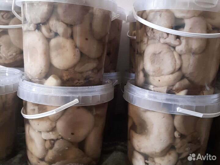 Грузди соленые