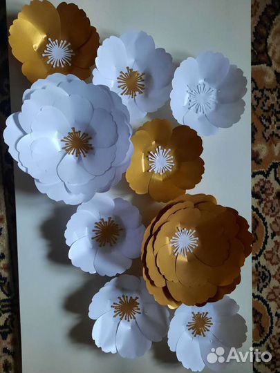 Интерьерные цветы