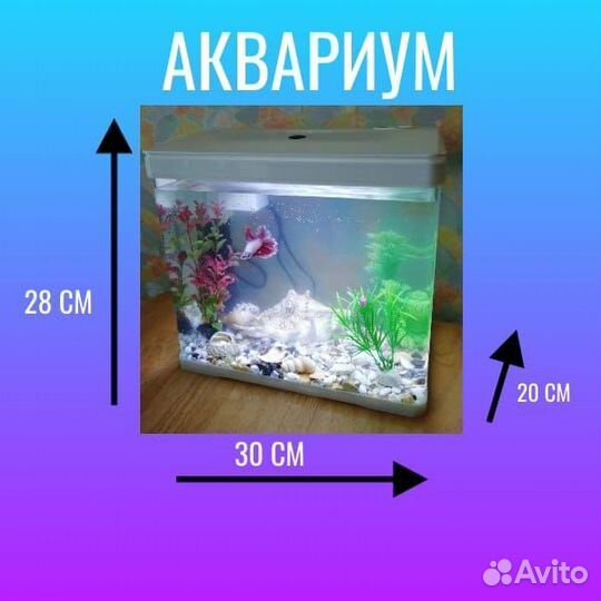 Аквариум