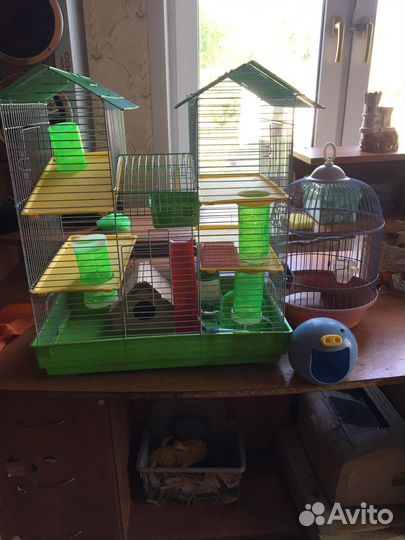 Клетка для грызунов очень большая