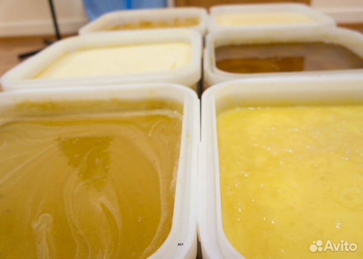 2024 Мед натуральный алтайский опт