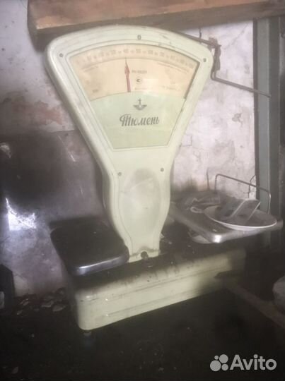 Высы раритет