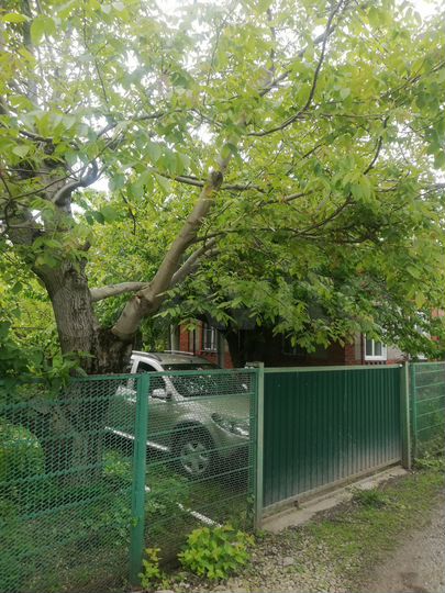 Дача 145 м² на участке 6 сот.