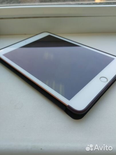 iPad mini 5 cellular