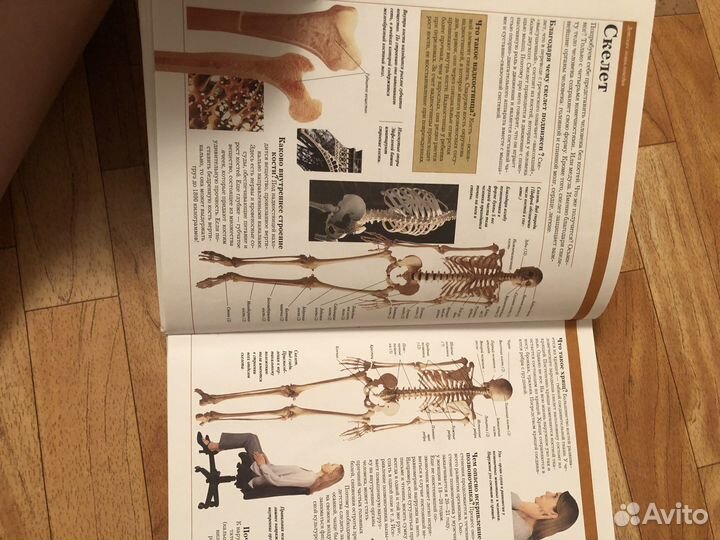 Детская энциклопедия, 1000 вопросов и ответов