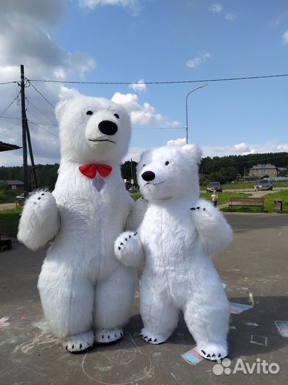 Белый медведь и чебурашка, услуга поздравь сам