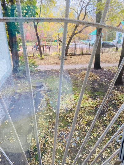 1-к. квартира, 22 м², 1/9 эт.