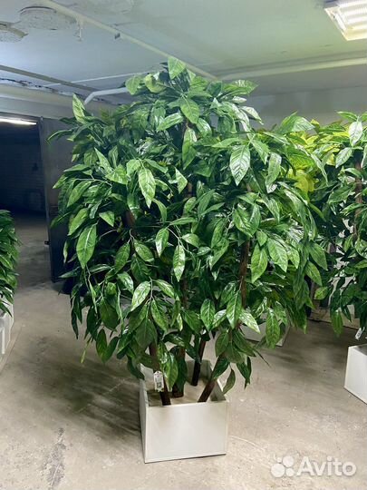 Искусственное дерево / Декоративное озеленение