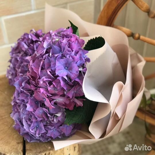 Гортензия. Букет с доставкой. Цветы в Самаре