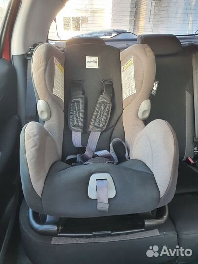 Детское автокресло Inglesina Marko Polo 0-18 кг
