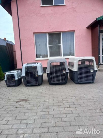 Переноски для собак