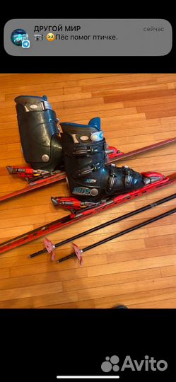 Горные лыжи