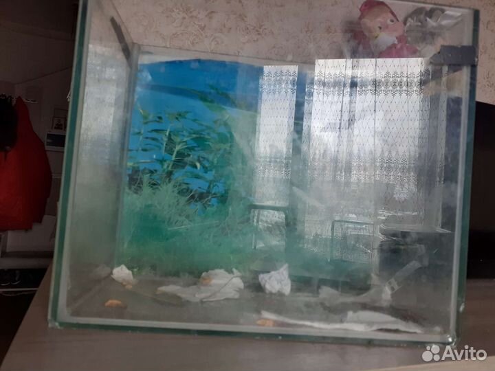 Аквариум для грызунов