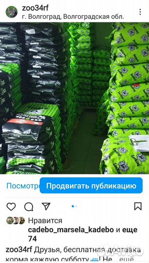 Корм для собак и кошек Зооринг