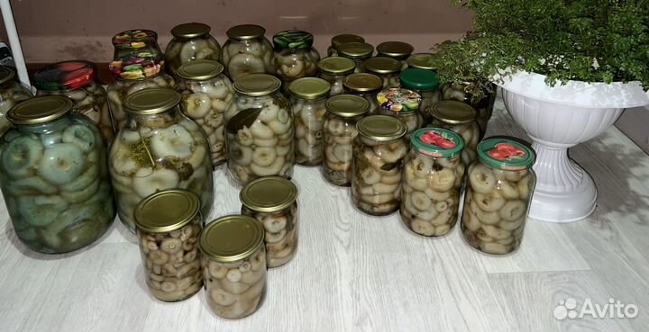 Грибы грузди маринованные