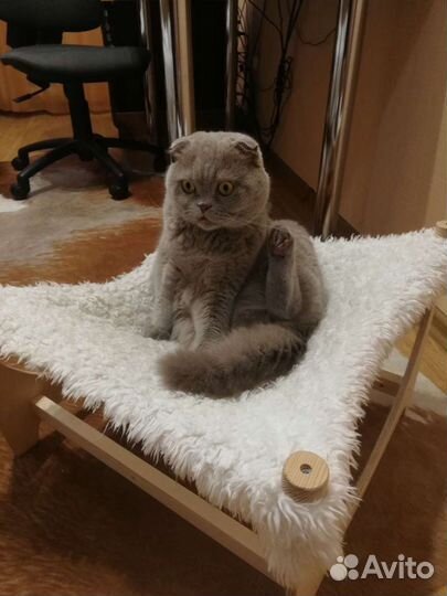 Лежанка - гамак для кота